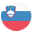 🇸🇮