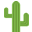 🌵