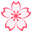 🌸