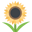 :sunflower: 🌻