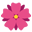 🏵️