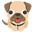 :dog2: 🐕