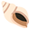 :shell: 🐚