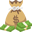 💰