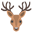 :deer: 🦌